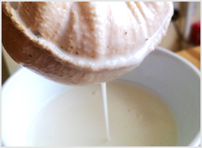Tweedot blog magazine - filtrare le mandorle frullate per ottenere il latte