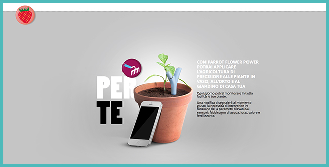 Tweedot blog magazine - piante da vaso e giardino - Flower Power Parrot nuova cura per le piante